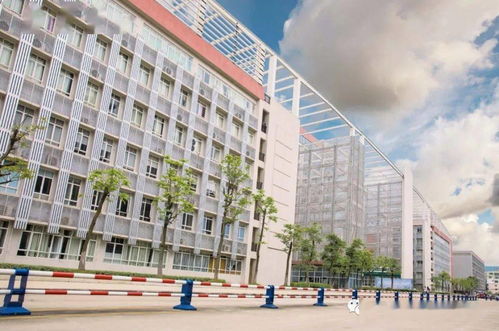 廣東食品藥品職業(yè)學(xué)院2021年五年一貫制高職班招生簡章