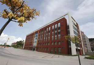 珠海金灣5所本科高校投檔線公布，職業教育培訓助力學子成才